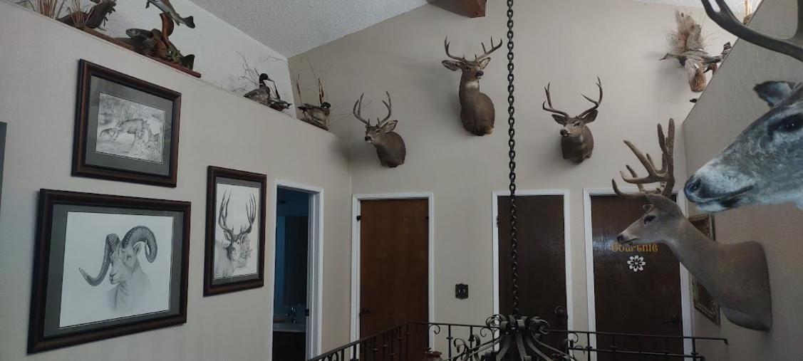 Rustic Rooms By Kings Canyon & Sequoia National Parks スコーバレー エクステリア 写真